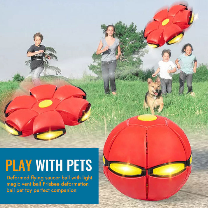 Pet Toy Flying Saucer Ball